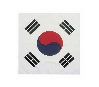태극기 스카프
